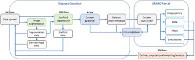 The SPARC DRC: Building a Resource for the Autonomic Nervous System Community